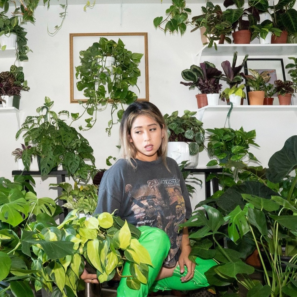 Meet your Posher, Jill